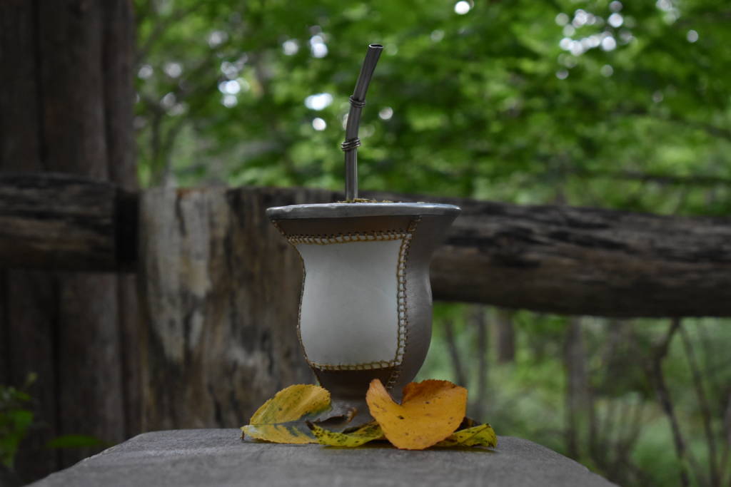 Yerba Mate, nature’s version of Adderall