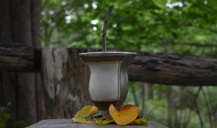 Yerba Mate, nature’s version of Adderall