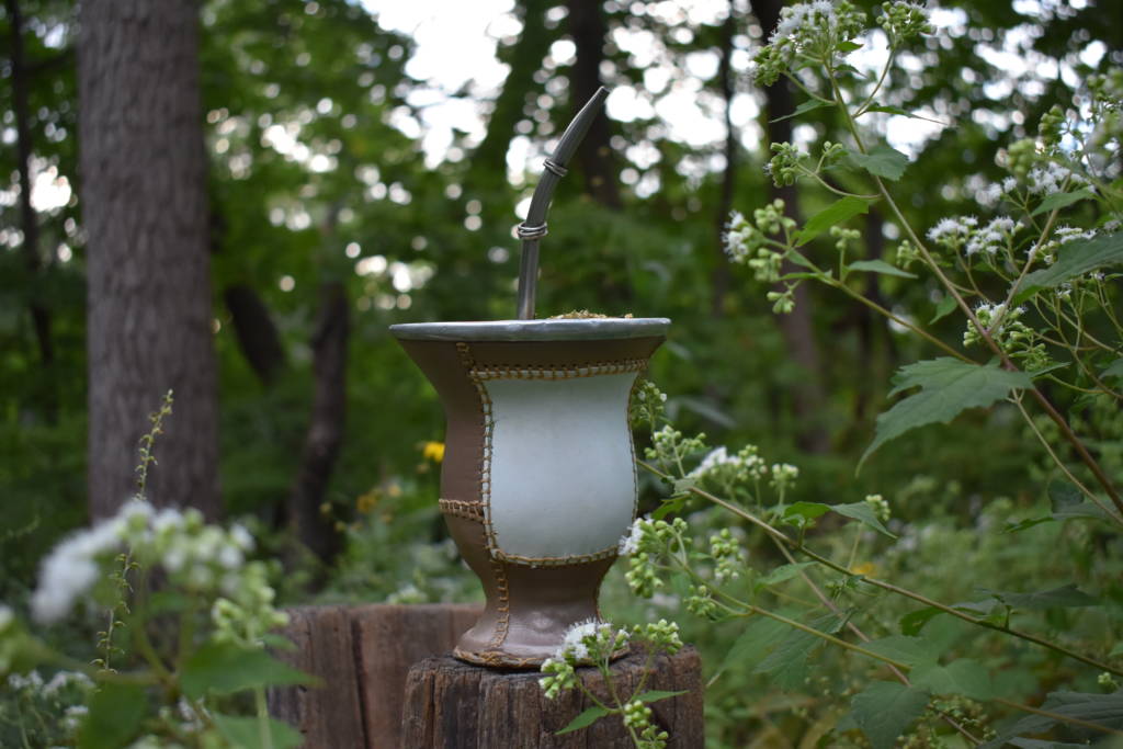 Yerba Mate increases focus and creativity