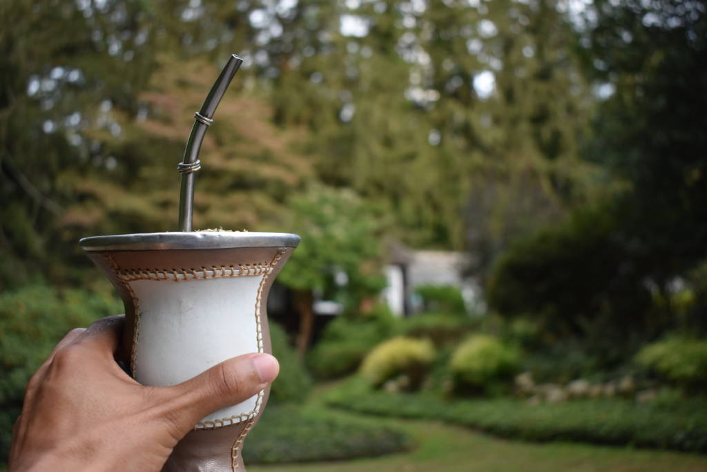 Cheers to the good health that Yerba Mate imparts